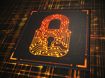 Cyber Litigation